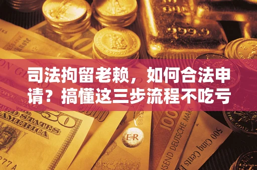 北京司法拘留老赖，如何合法申请？搞懂这三步流程不吃亏！