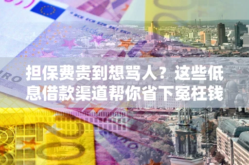 北京担保费贵到想骂人？这些低息借款渠道帮你省下冤枉钱