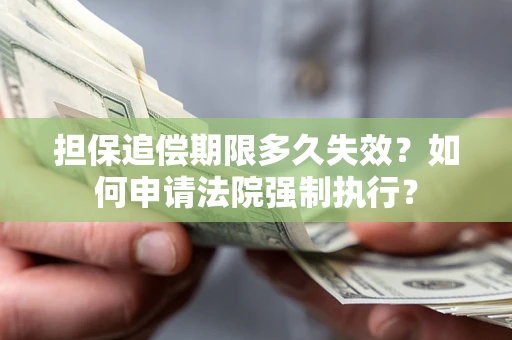 北京担保追偿期限多久失效？如何申请法院强制执行？