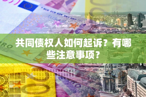 北京共同债权人如何起诉？有哪些注意事项？